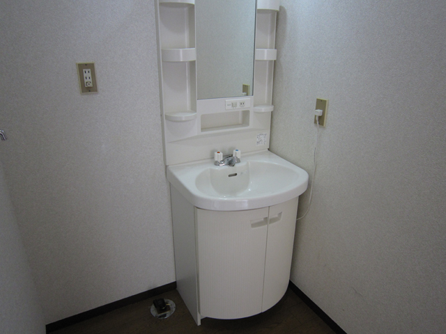 Washroom. Bathroom vanity