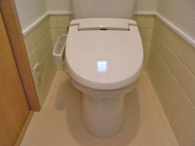 Toilet. Is a warm water washing toilet seat Installed.