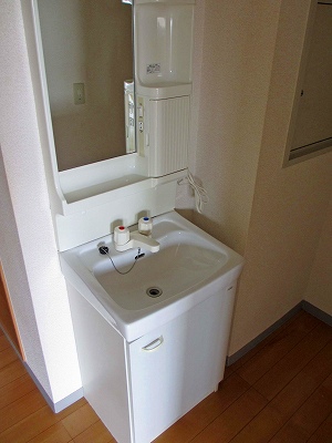 Washroom. Wash basin