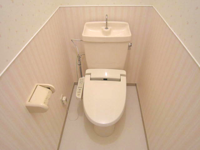 Toilet. Is a warm water washing toilet seat Installed.