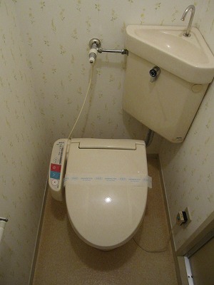 Toilet. Toilet