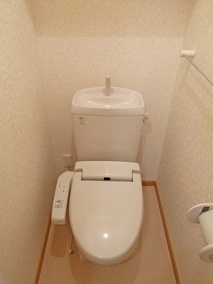 Toilet. Warm water washing toilet seat