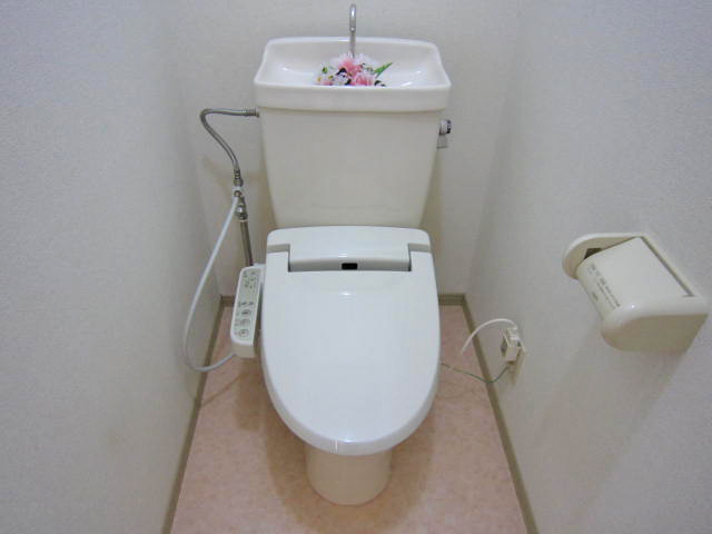 Toilet. Washlet toilet.