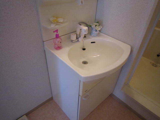 Washroom. Washbasin a shower.