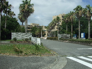 Other. 912m up to Naruto (Other)