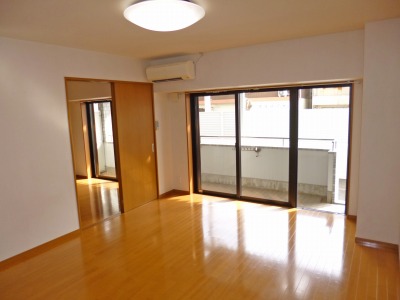 Living and room. Living