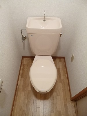 Toilet. Toilet
