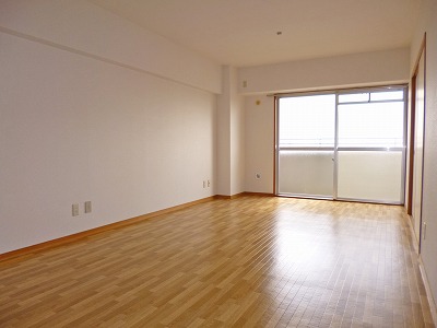 Living and room. Living