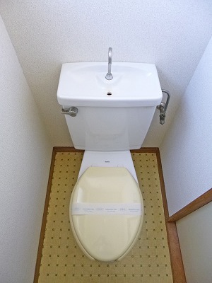 Toilet. Toilet