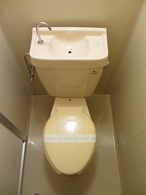 Toilet. Toilet