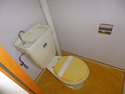 Toilet. Toilet