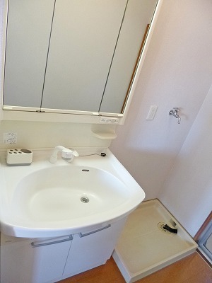 Washroom. Bathroom vanity