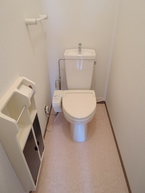 Toilet. Is a warm water washing toilet seat Installed.
