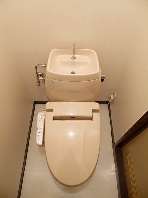 Toilet. With warm water washing toilet seat
