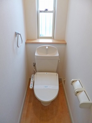 Toilet. Warm water washing toilet seat