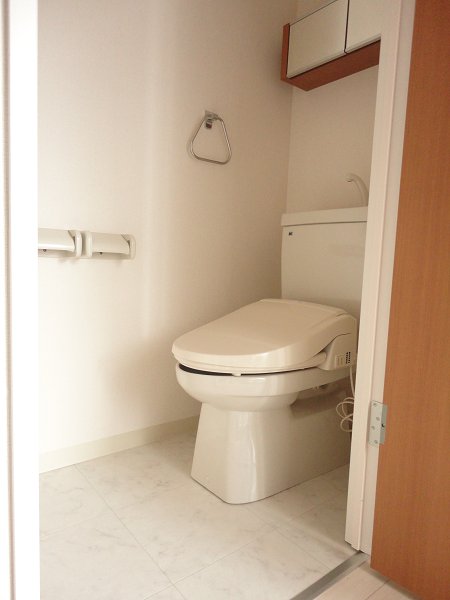 Toilet. Multi-function toilet seat