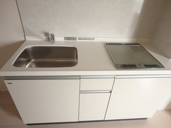 Kitchen. Two-burner stove system Kitchen