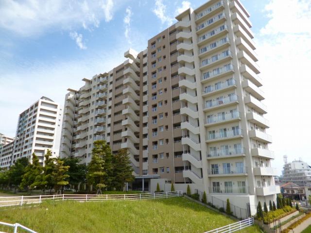 Local appearance photo. Large-scale properties of the total number of units 270 units