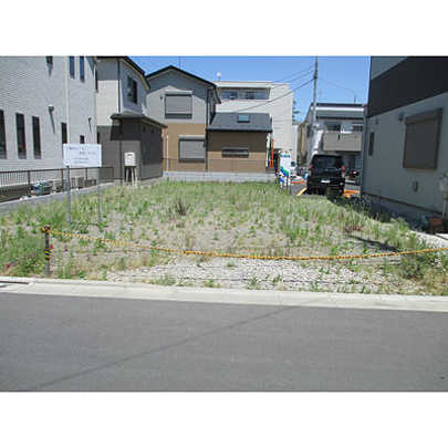 Local land photo. Local Photos