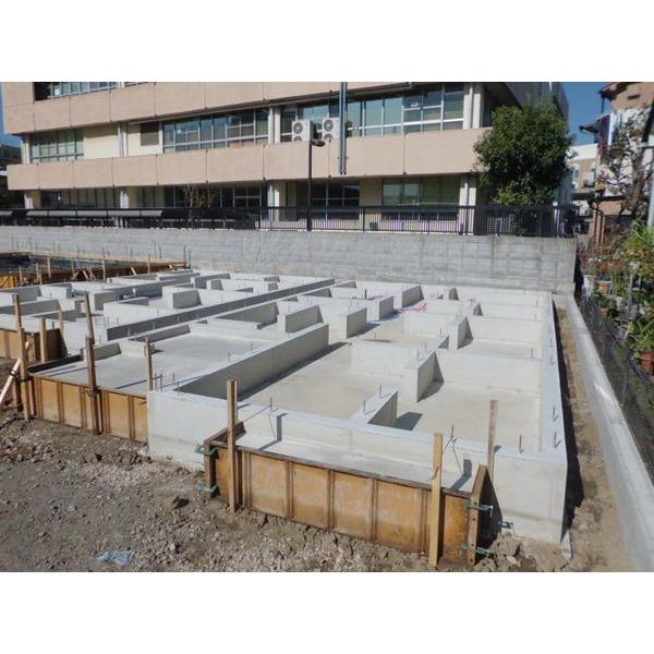 Other introspection. Local Photos