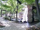 park. 271m until the iris marsh park