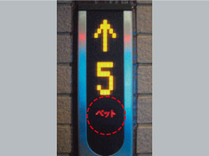 Other.  [Pets live Allowed] A member of the pets family. As live comfortably with such a precious pet, The common area has established a pet-only foot washing area. It is useful, for example, walk the way home. Also, The elevator also provides the ability to display that you are a passenger with pets, You can also prevent the ran into the pet each other in advance in the elevator.  ※ Since the pet there is a limit, For more information, please contact the person in charge. (More than the published photograph of the same specifications)