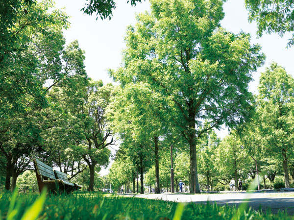 Surrounding environment. Tonerikoen (4-minute walk ・ About 290m)