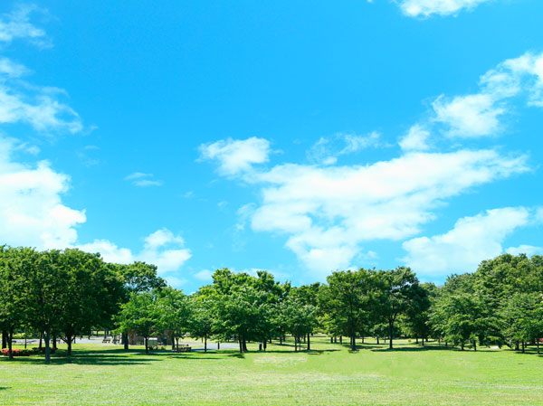 Surrounding environment. Metropolitan Tonerikoen (4-minute walk ・ About 290m)