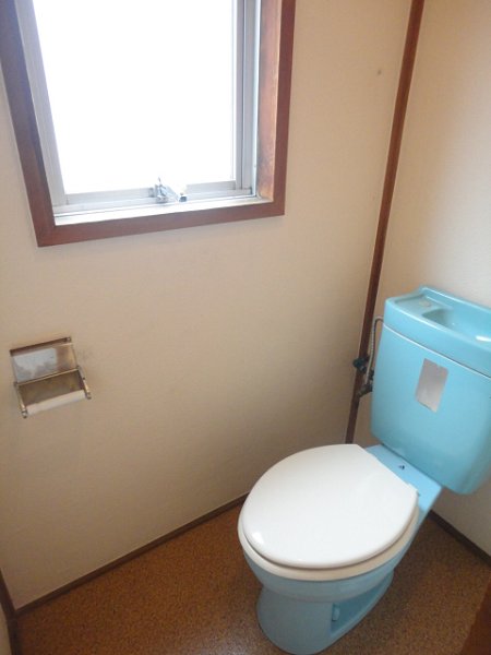 Toilet. Separate toilet