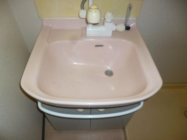 Washroom. Shampoo dresser