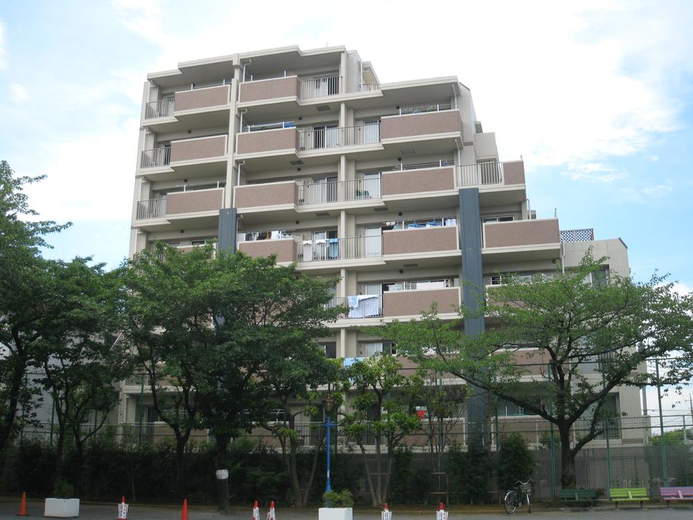 Local appearance photo