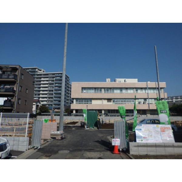 Other introspection. Local entry