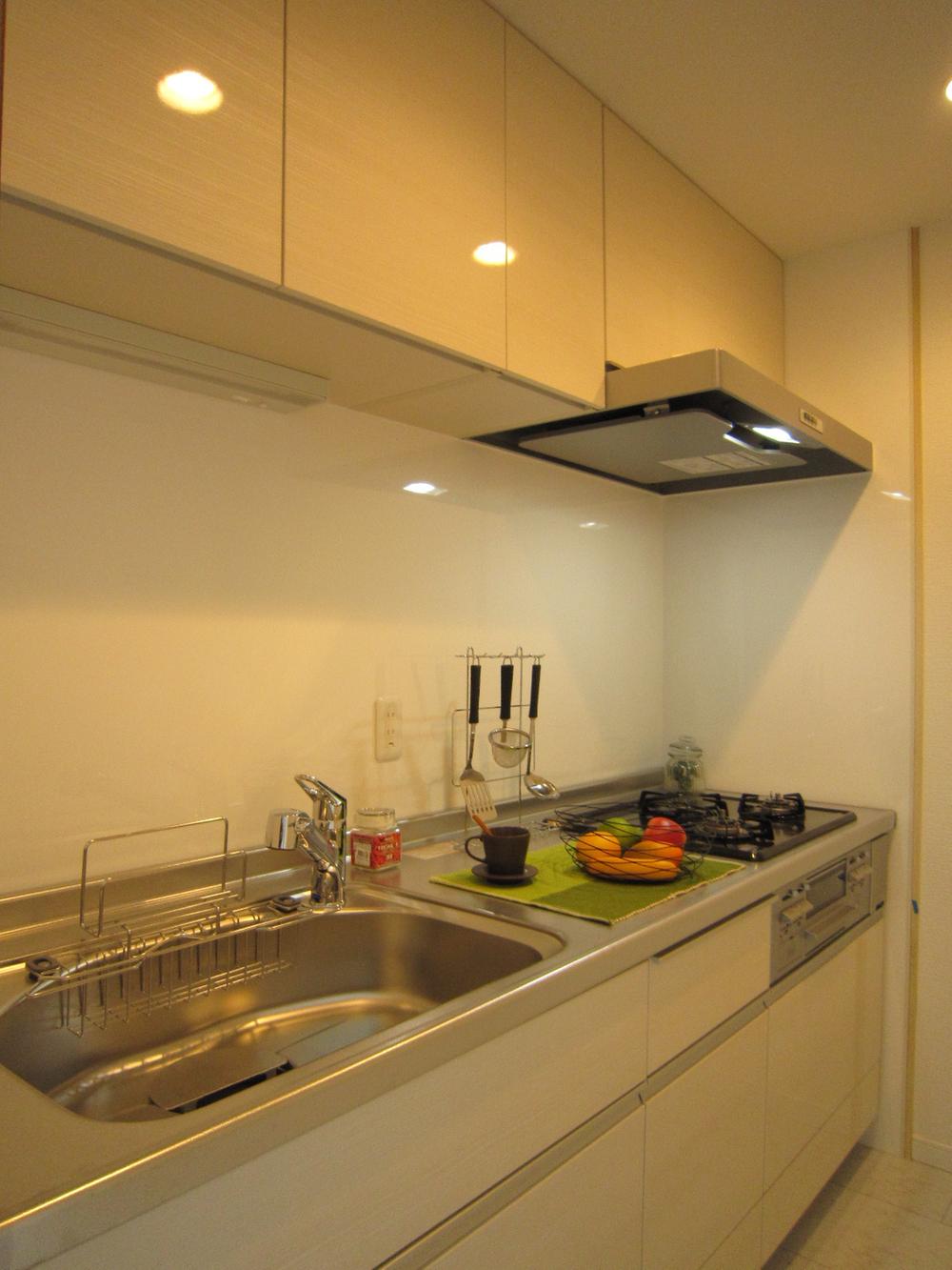 Kitchen. Indoor (11 May 2013) Shooting