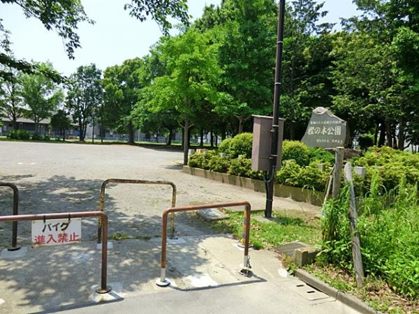 park. 350m until the tree park of oak