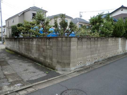 Local land photo. appearance