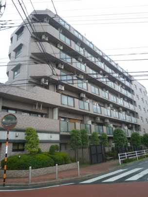Local appearance photo. Mansion appearance (1)