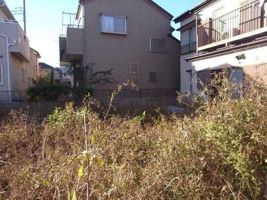 Local land photo