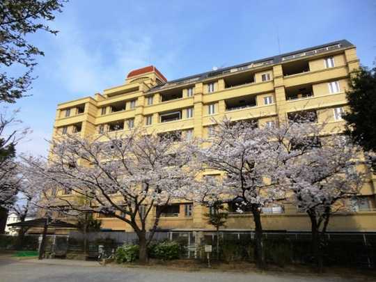 Local appearance photo. Building appearance: 2013 April time of shooting from the park side
