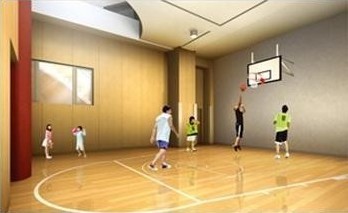 Other common areas. Sports arena