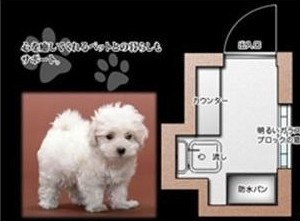 Other common areas. Glee timing room for pets