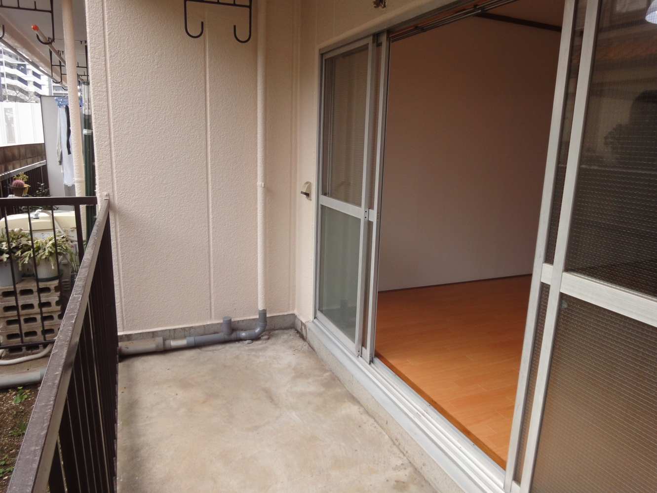 Balcony. It is the terrace of the spread.