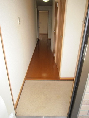 Entrance. There are storage.