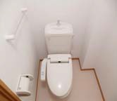 Toilet. With warm water washing toilet seat