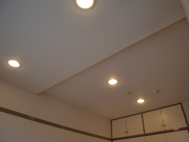 Other. Ceiling down light. Also mounting general lighting equipment.