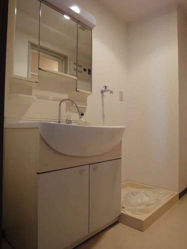 Washroom. Shampoo dresser