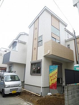 Local photos, including front road. Local (November 12 shooting)