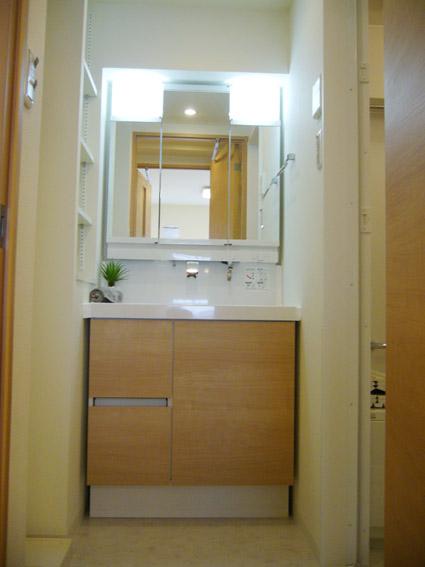 Wash basin, toilet