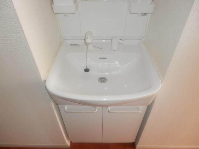 Washroom. Bathroom Vanity