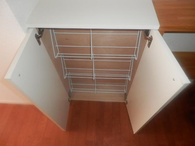 Receipt. Footwear input