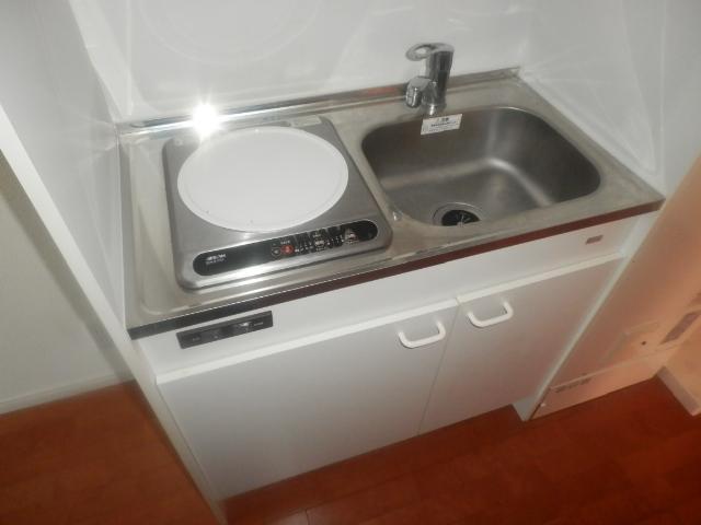 Kitchen. IH cooking heater